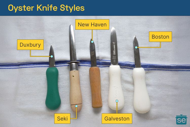 A graphic showing five oyster&hellip;